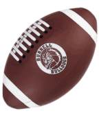 sports beach balls