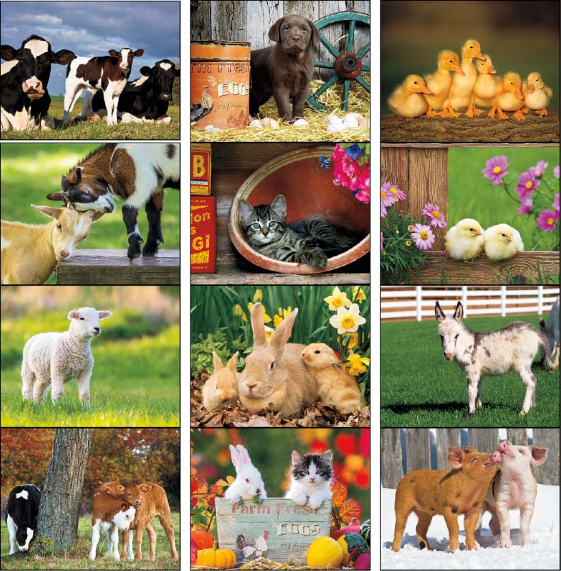 baby farm animals calendars
