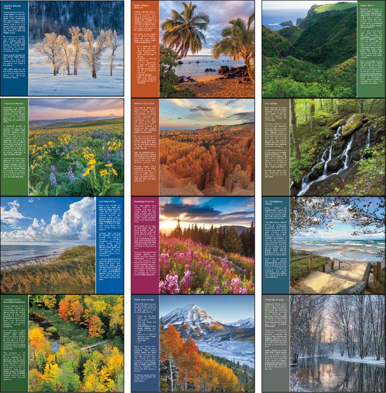 healthy living calendars