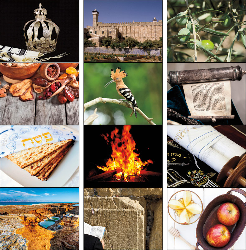  jewish life calendars